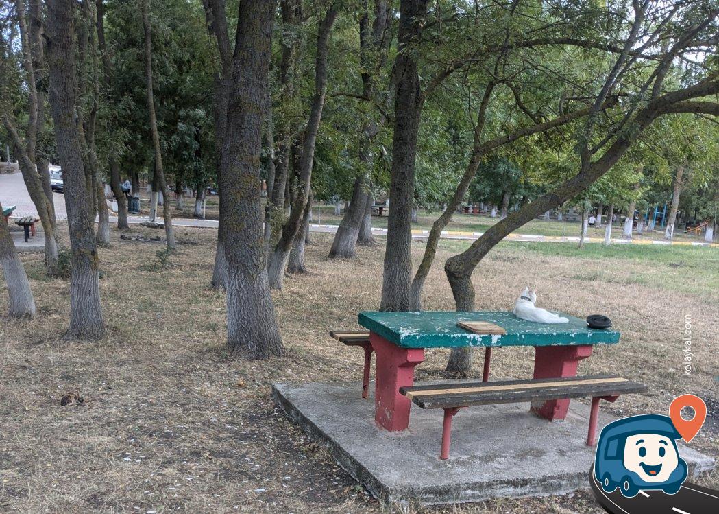 Büyükkarıştıran Piknik Alanı - Lüleburgaz, Kırklareli