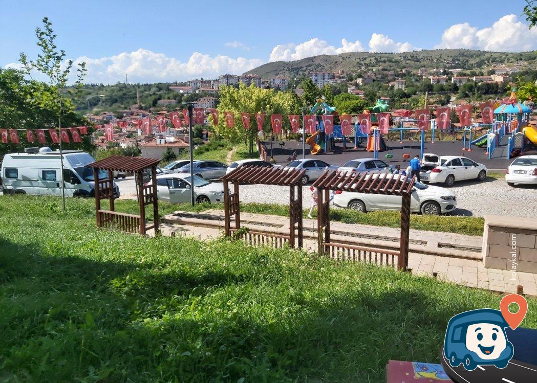 Ankara Yolu Mangal ve Mola Alanı - Ayaş