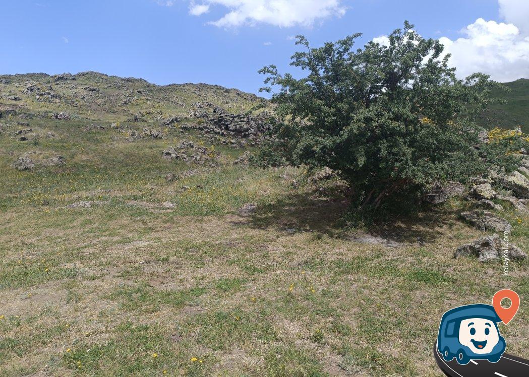 Sakin Yol Kenarı Çim Alan Kamp Yeri - Iğdır Merkez, Iğdır