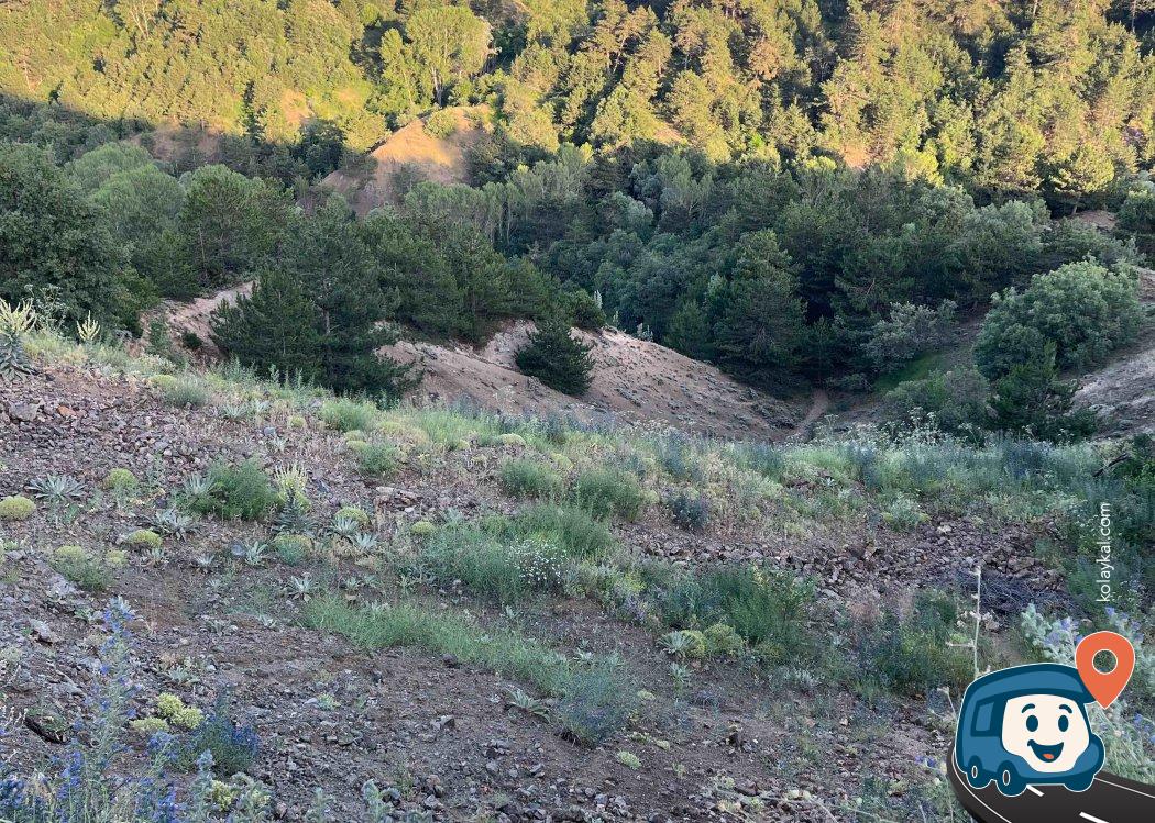 Vadi Manzaralı Tepedeki Kamp ve Mola Noktası - Eskipazar, Karabük