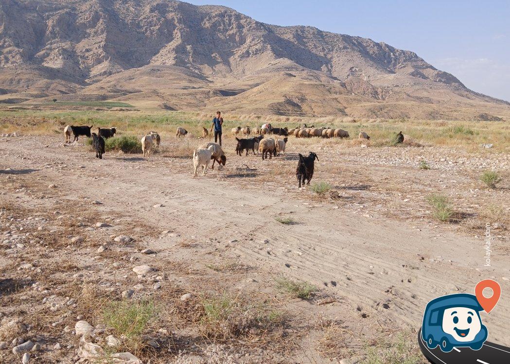 Cizre Kamp Alanı - Şırnak