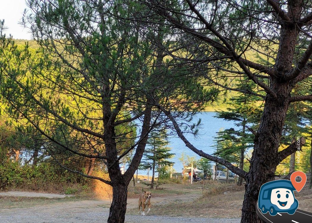 Sahilköy Yakınlarında Gölet Kamp Alanı - Pendik, İstanbul
