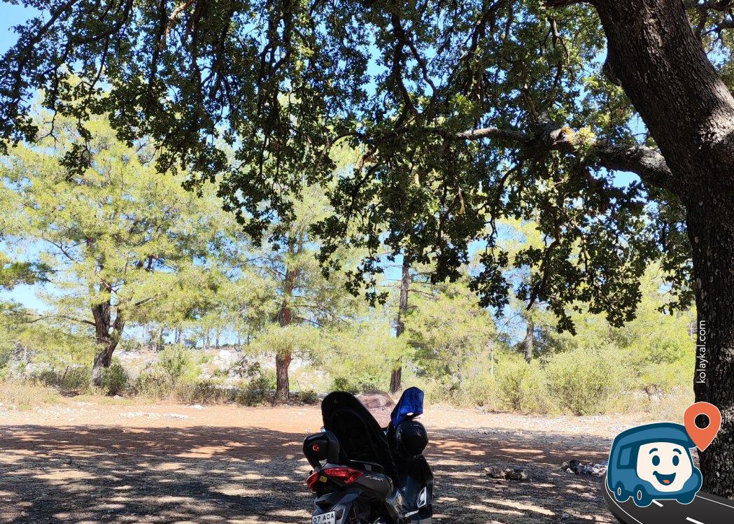 Likya Yolu Üzeri Orman Kamp Alanı - Finike, Antalya