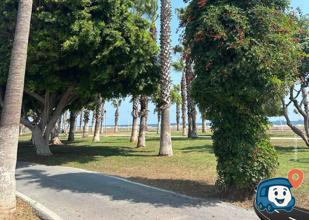 Mersin Sahil Yolu Ücretsiz Otopark - Yenişehir
