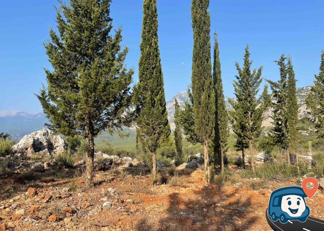 Antalya Orman İçi Kamp Alanı ve Manzara Noktası - Konyaaltı