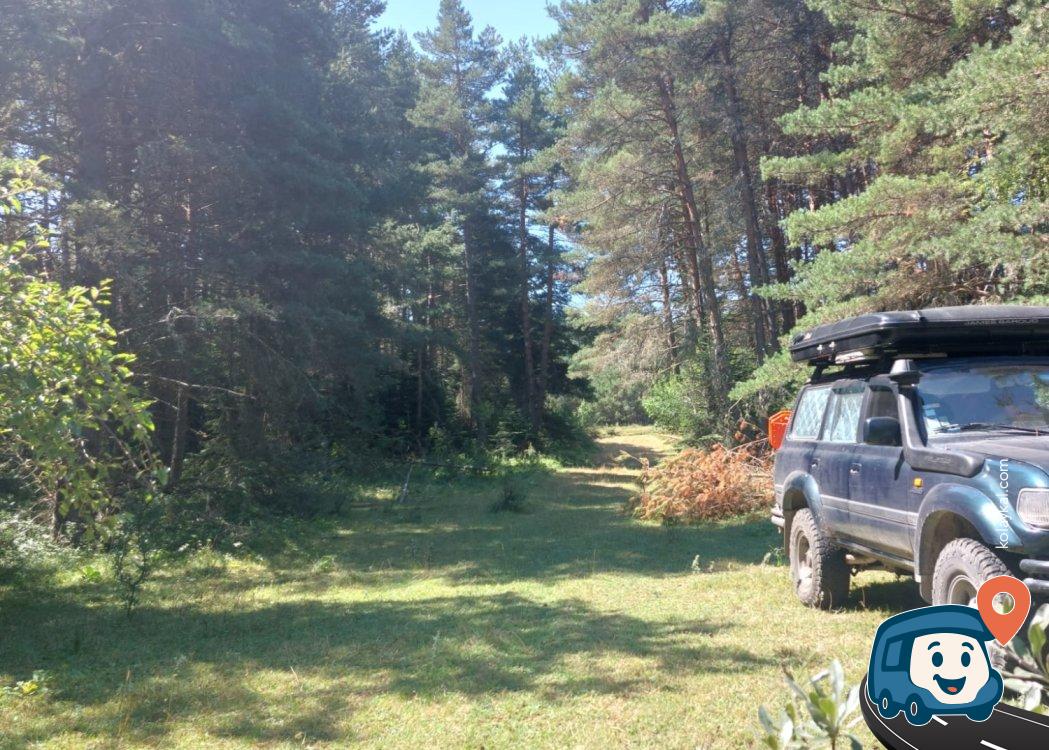 Orman İçi Kamp Alanı - Ağlı, Kastamonu