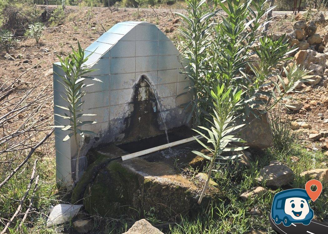 Köyceğiz Sultaniye Doğal Kaynak Suyu Kamp Alanı - Muğla