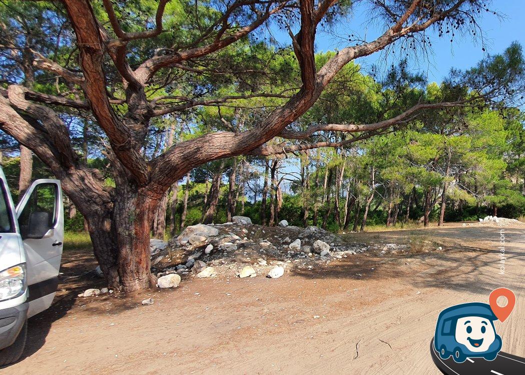 Demre Çayağzı Otopark ve Kamp Alanı - Antalya