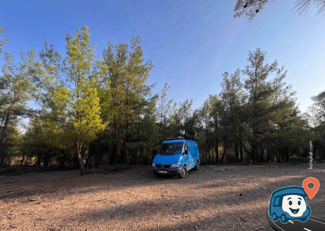 Karacasu Kamp Alanı - Aydın