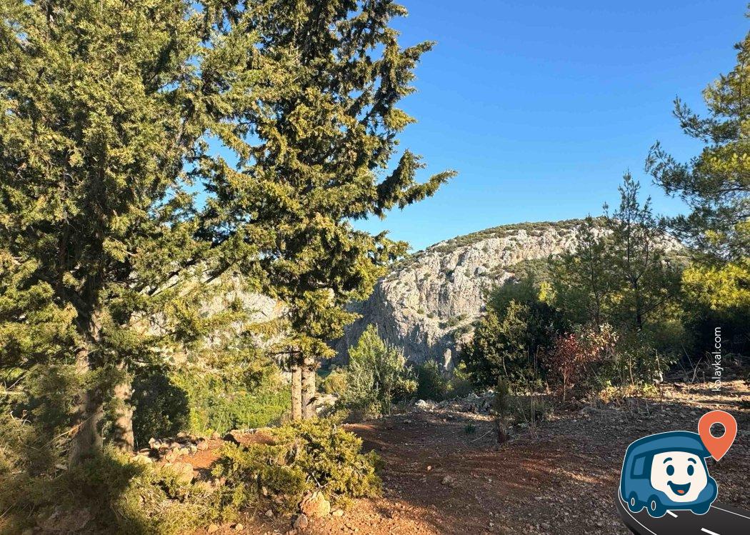 Kanyon Manzaralı Orman İçi Kamp Alanı - Konyaaltı, Antalya
