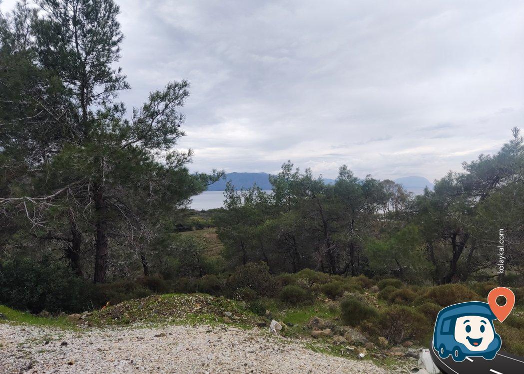 Sakin Kamp Alanı - Marmaris, Muğla