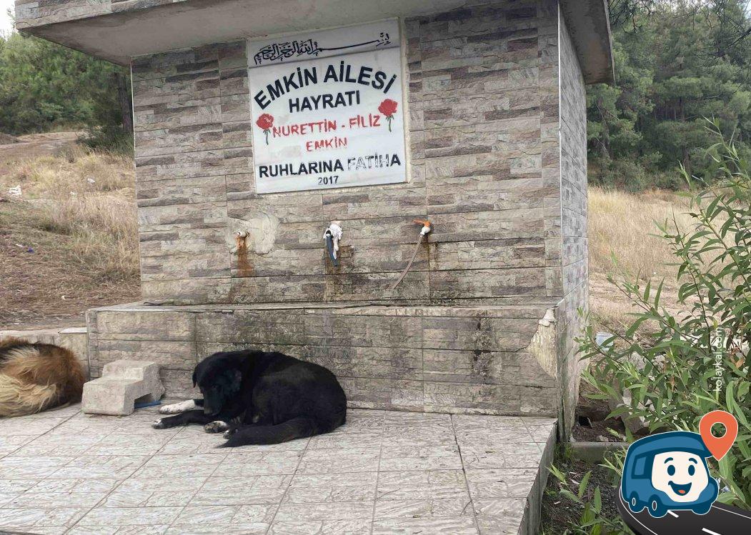 Maltepe Köyü Temiz İçme Suyu Kaynağı - İstanbul