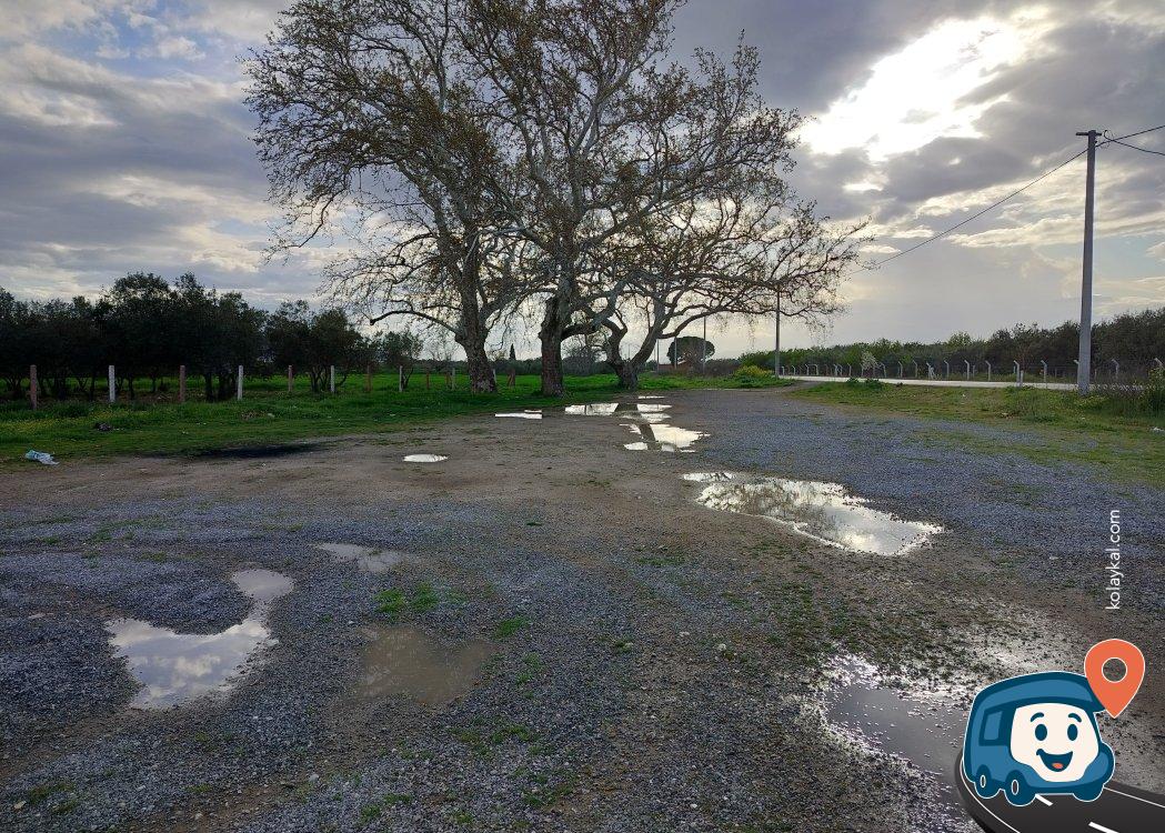 Efendi Mahallesi Kamp Alanı - Akhisar, Manisa