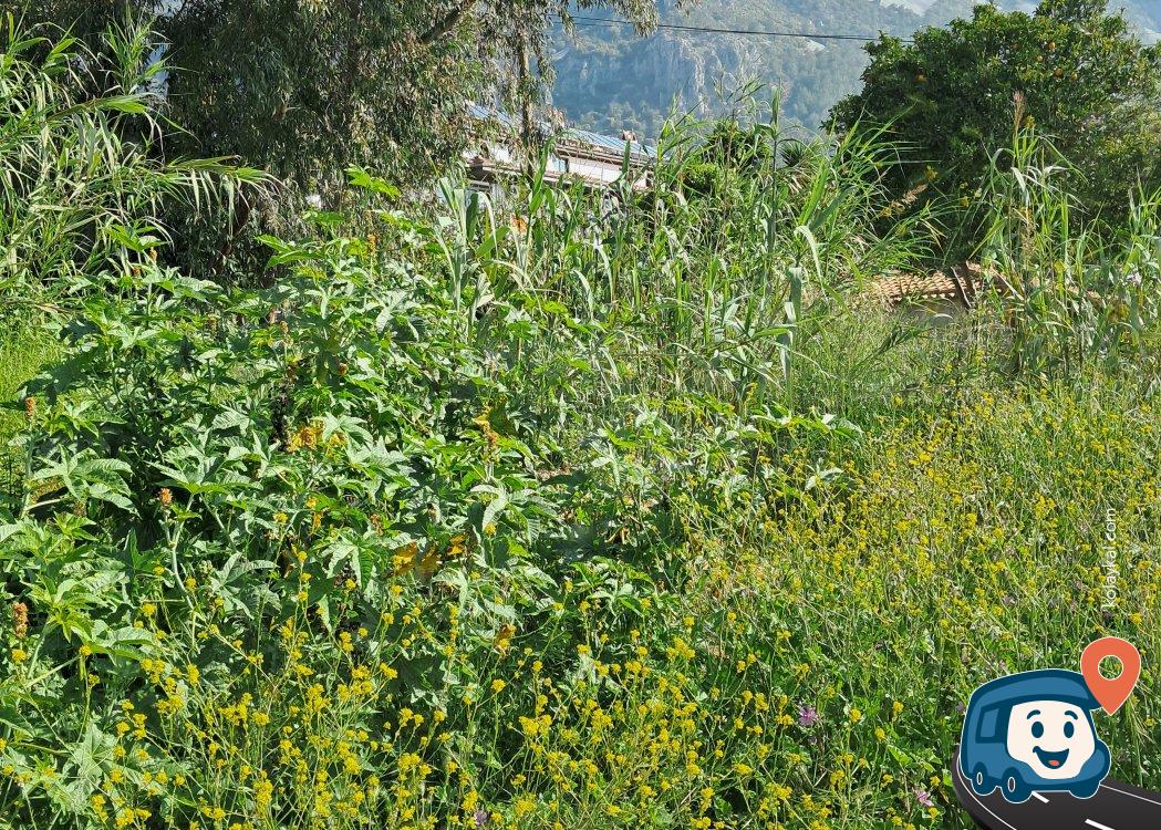 Akyaka Şehir Merkezi Karavan Park Yeri - Ula, Muğla