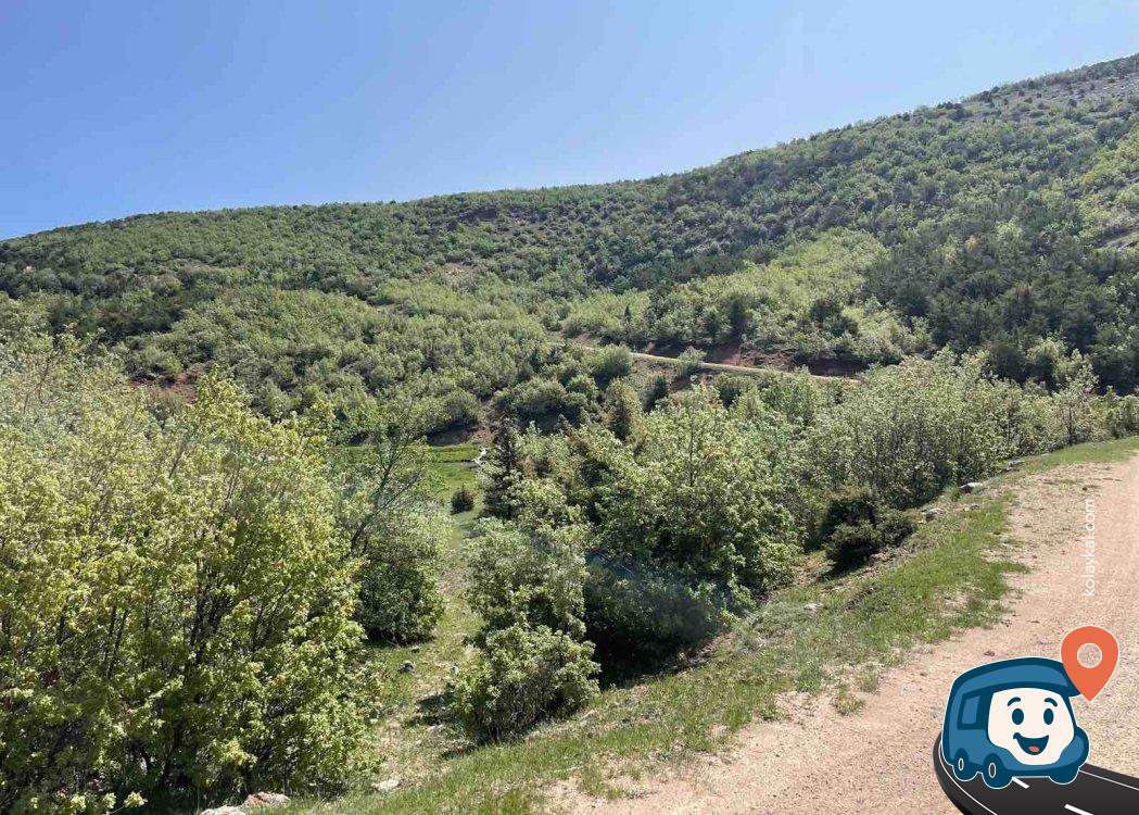 Doğa İçinde Sakin Kamp Alanı - Yıldızeli, Sivas