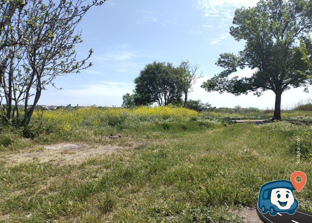Tekirdağ Sahili Kamp ve Piknik Alanı - Marmaraereğlisi