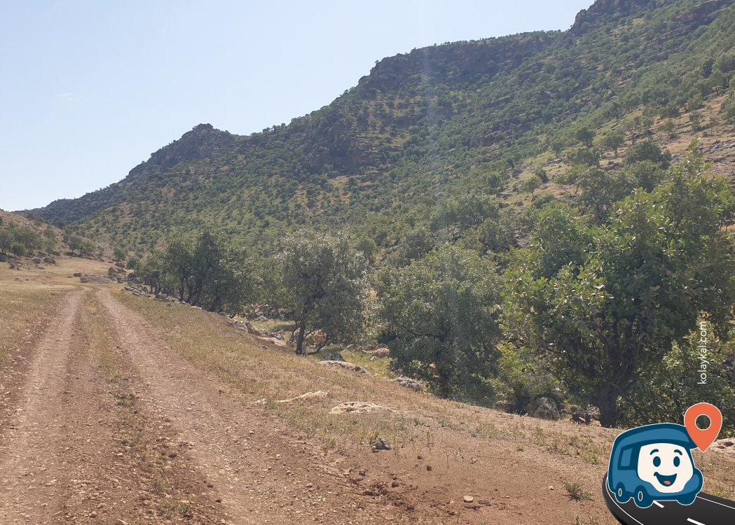 Şırnak Vadisi Kamp Alanı - Midyat, Mardin