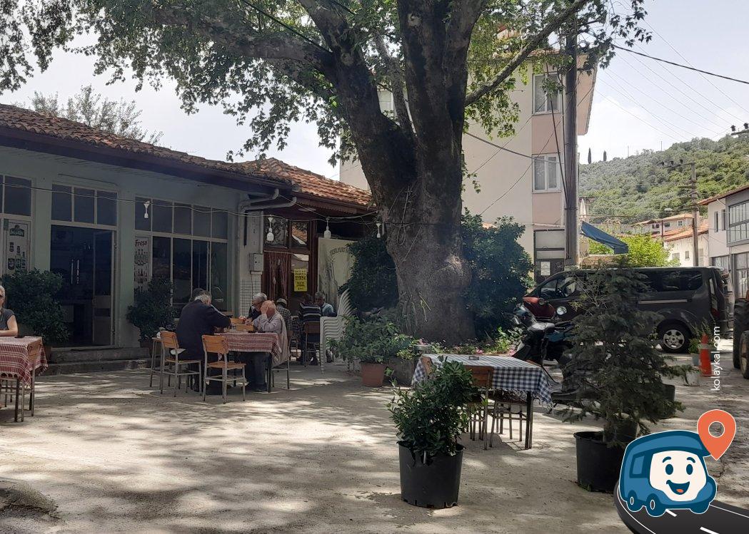 Bozüyük Köy Meydanı Kamp Alanı - Menteşe, Muğla