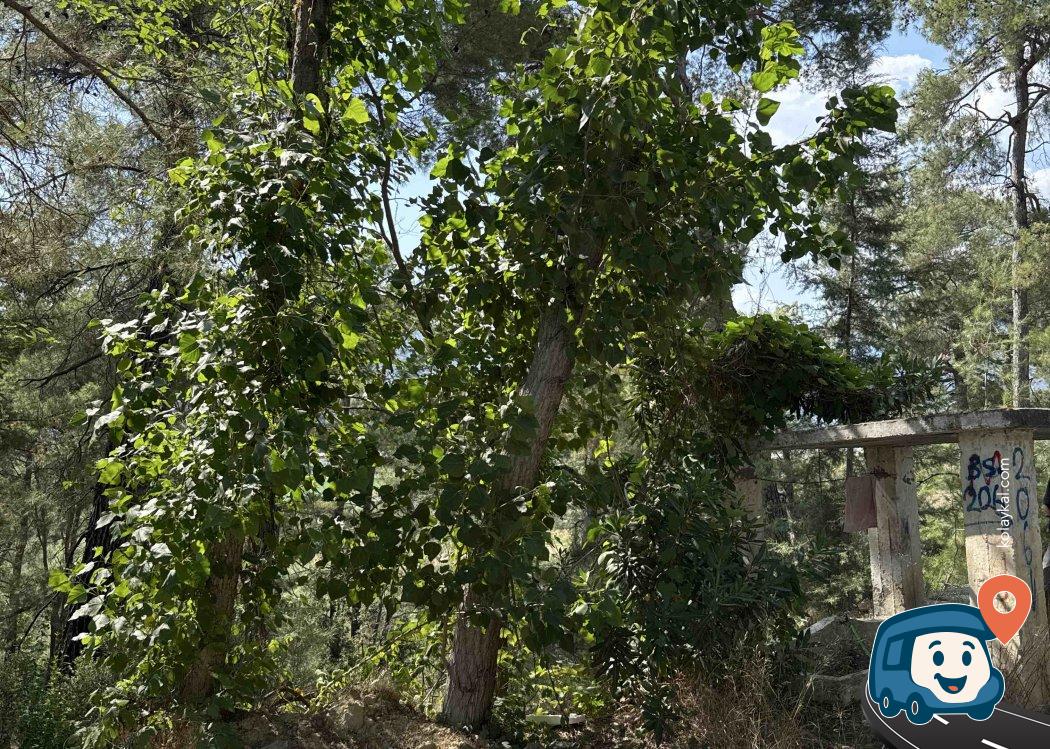 Ücretsiz Su İkmal Noktası - Seydikemer, Muğla