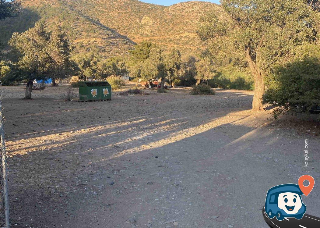 Akköy Zeytin ve Çitlembik Ağaçları Arasında Ücretsiz Kamp Alanı - Bodrum, Muğla