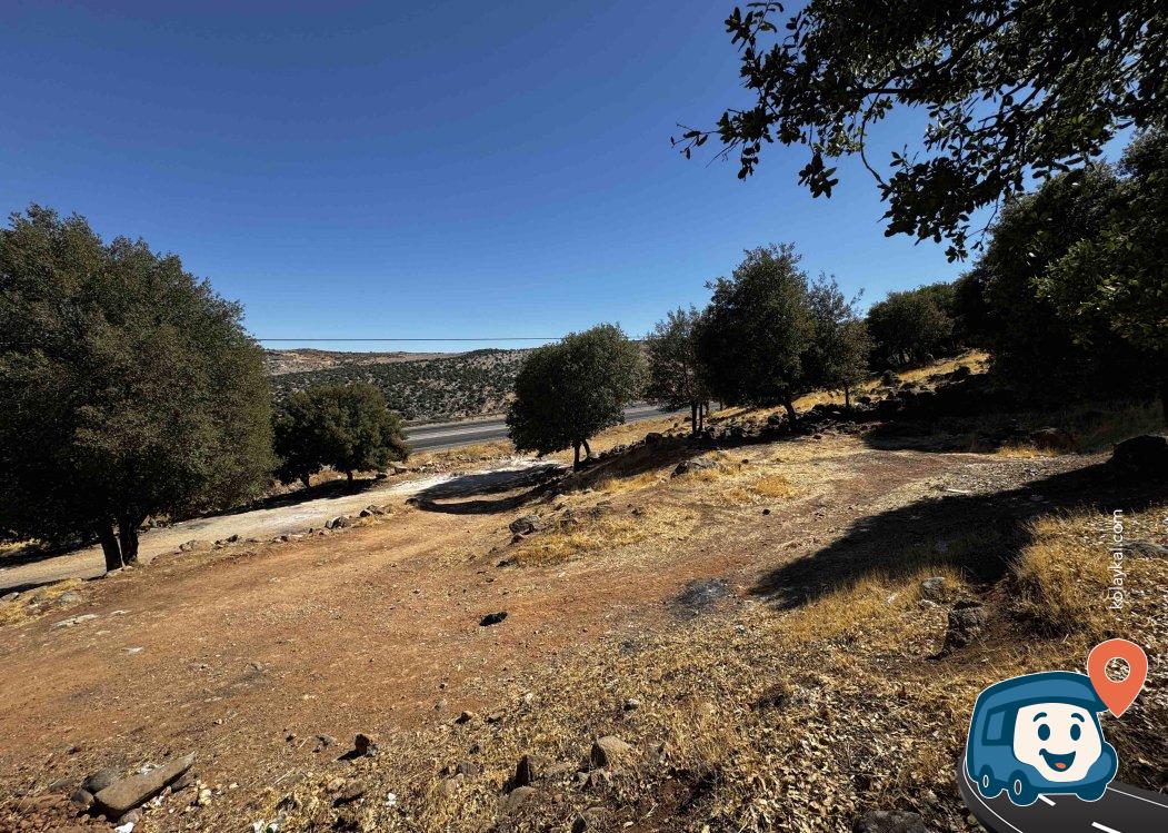 Gaziantep Nurdağı Yolu Kısa Mola Yeri - Yavuzeli