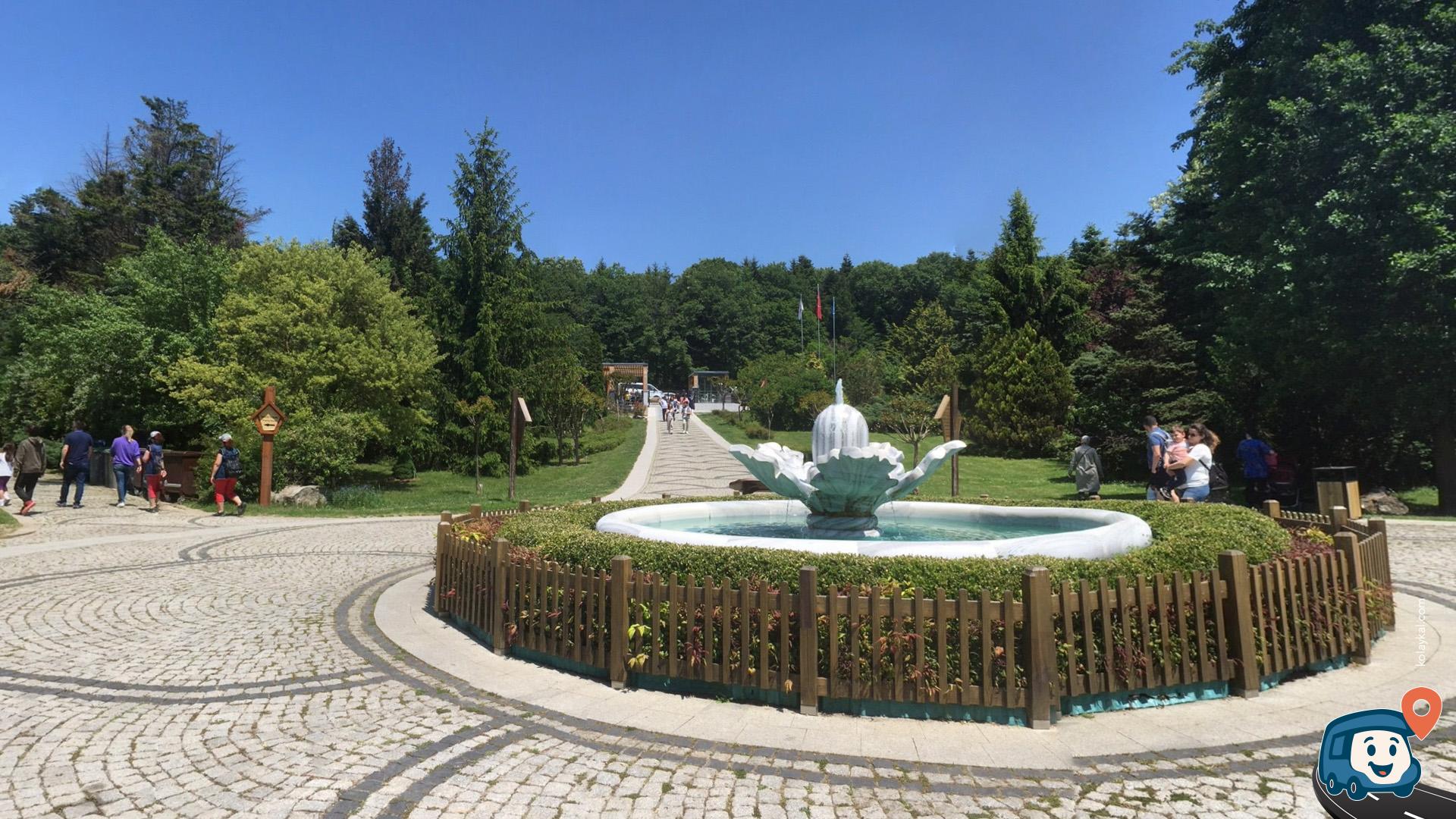 Atatürk Arboretumu - Sarıyer, İstanbul