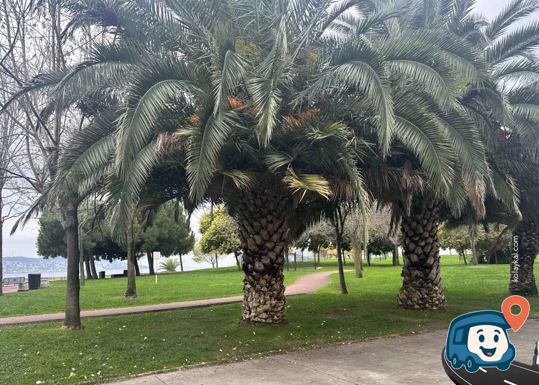 İstanbul Sahil Parkı Kamp ve Karavan Alanı - Kartal