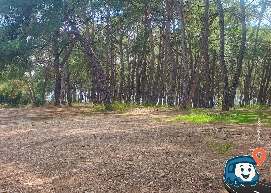 Orman İçi Otopark ve Dinlenme Alanı - Döşemealtı, Antalya