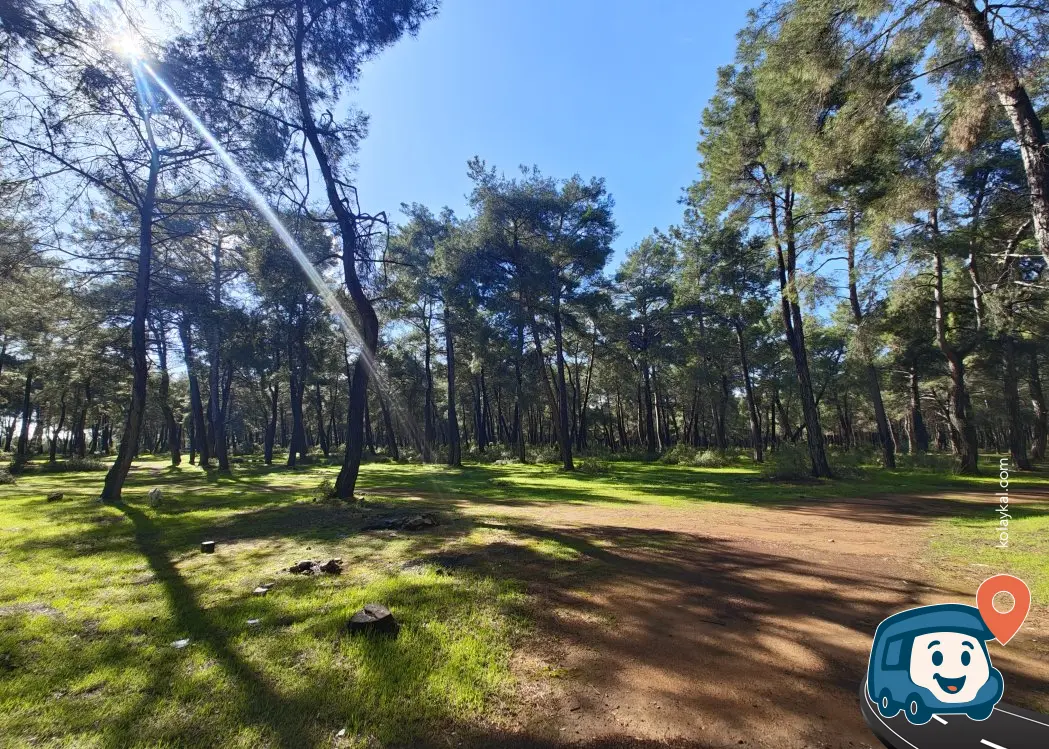 Ağaçlık Alan Sakin Kamp Noktası - Döşemealtı, Antalya