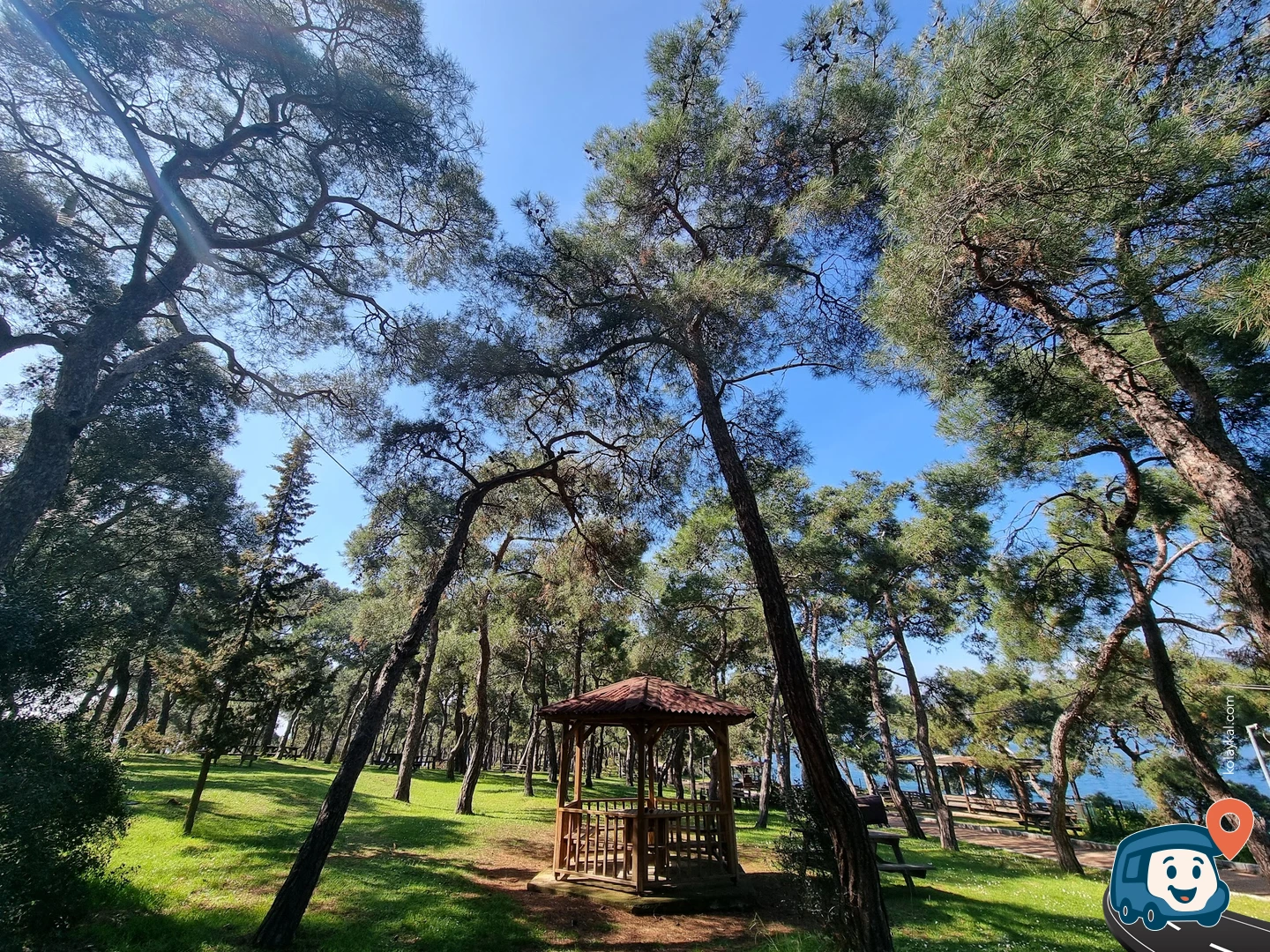 Dilburnu Tabiat Parkı - Adalar, İstanbul
