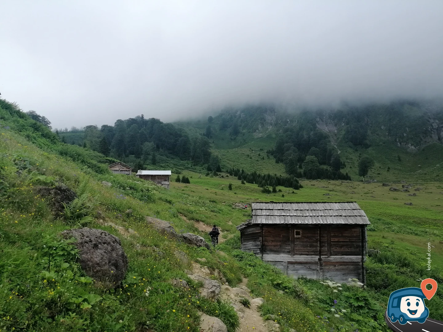 Görgit Yaylası - Borçka, Artvin