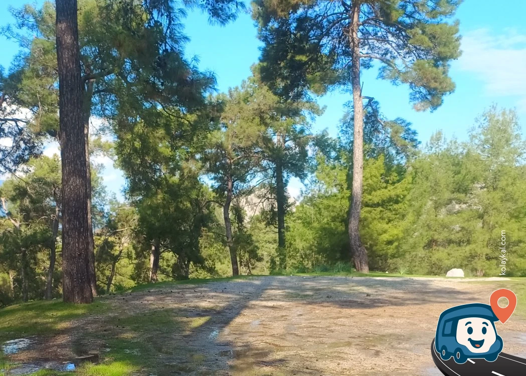 Yol Kenarı Vahşi Kamp Alanı - Ortaca, Muğla