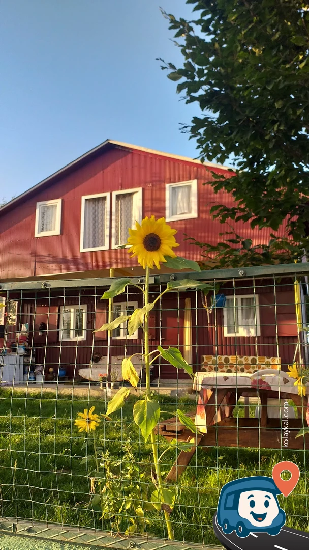 Hıdırnebi Yaylası - Akçaabat, Trabzon