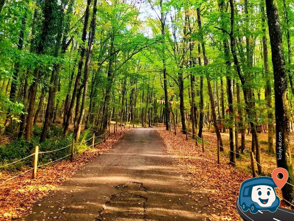 Belgrad Ormanı - Sarıyer, İstanbul