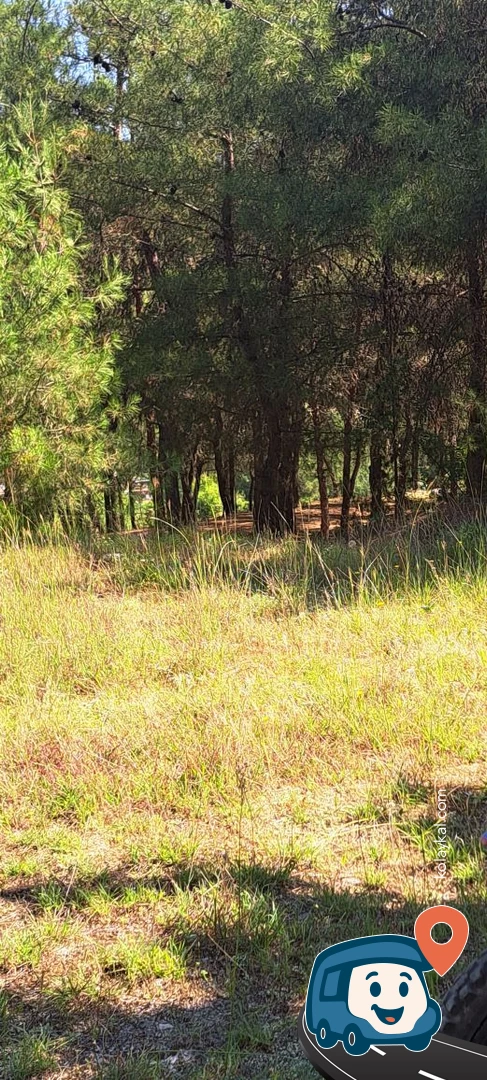 Durağan Karşı Park Yabani Kamp Alanı - Sinop