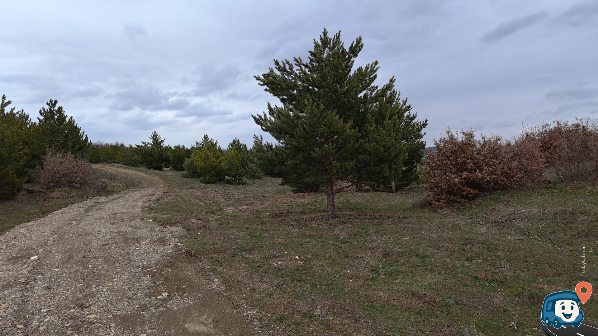 Orman Vahşi Kamp Alanı - Akdağmadeni, Yozgat