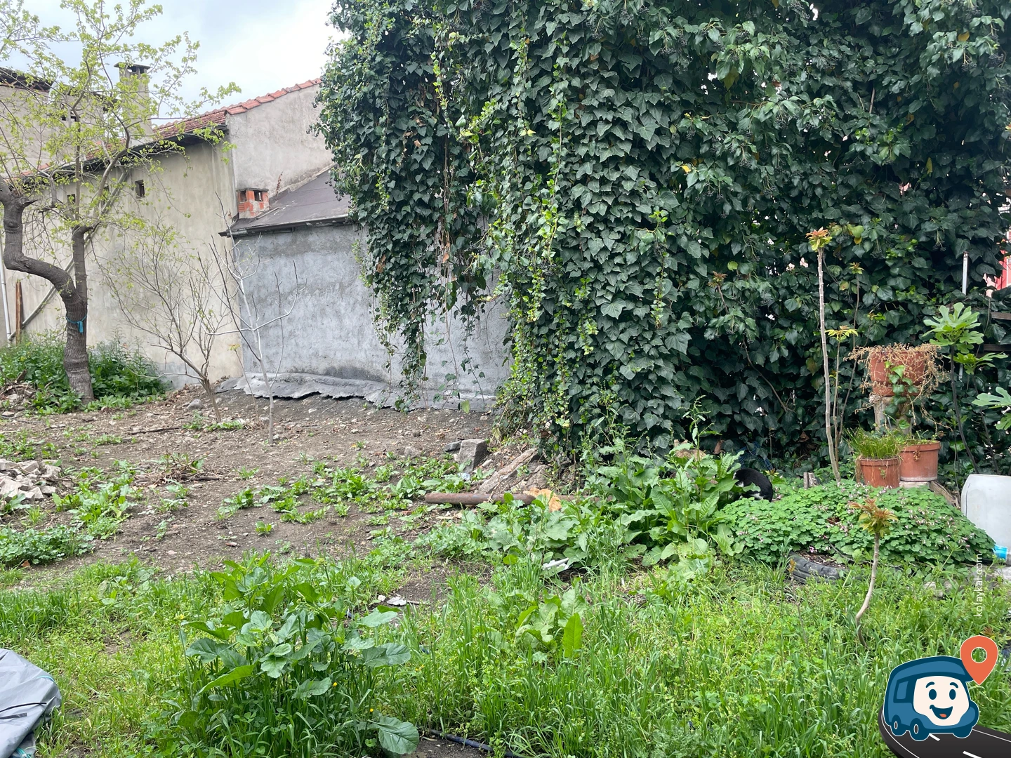 Engürcük Köyü Bahçede Kamp Alanı - Gemli̇k, Bursa