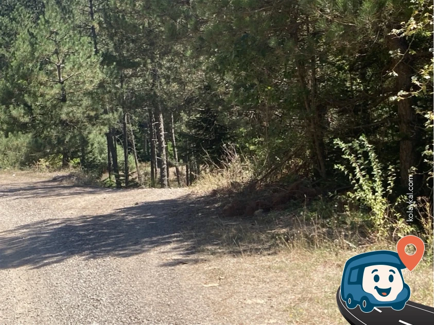 Azdavay Yakınları Vahşi Kamp Alanı - Kastamonu
