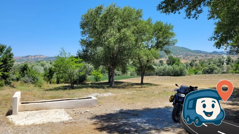 Ağaçlı ve Sulak Düz Alan - Saraykent, Yozgat