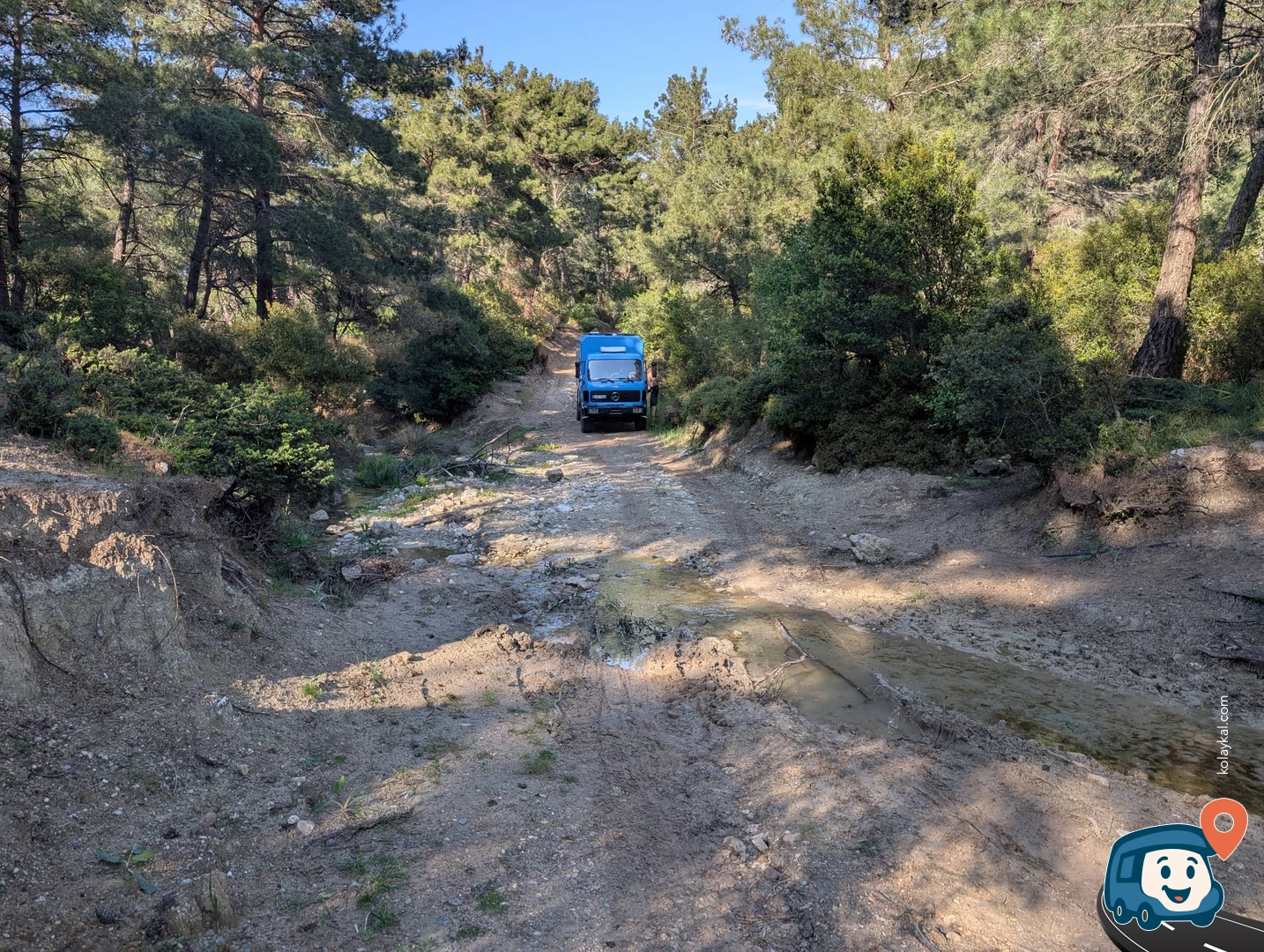 Rüzgardan Korunaklı Orman - Çanakkale Merkez, Çanakkale
