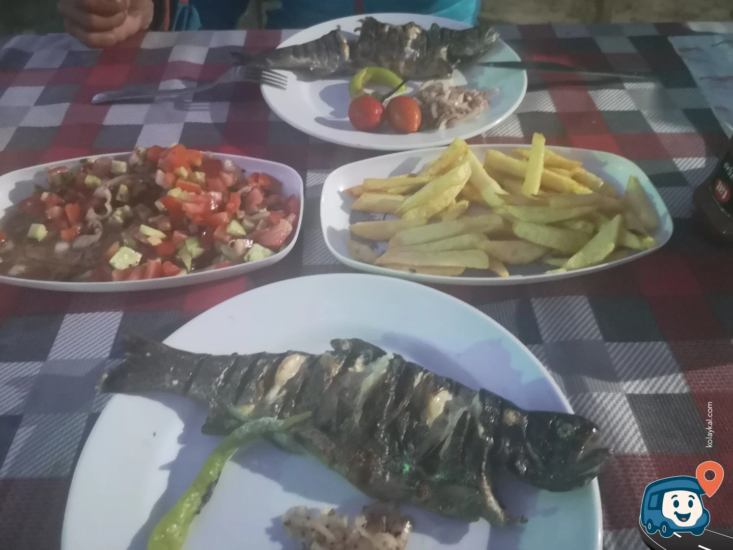 Köprülü Rafting Kamp Alanı - Manavgat, Antalya
