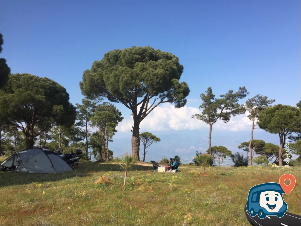 Çam Ormanında Kamp Alanı - Bozdoğan, Aydın