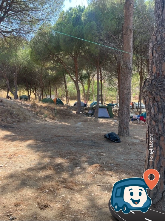 Halka Açık Ücretsiz Kamp Alanı - Bodrum, Muğla