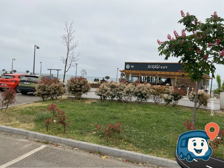 Ayışığı Otoparkı - Altınordu, Ordu