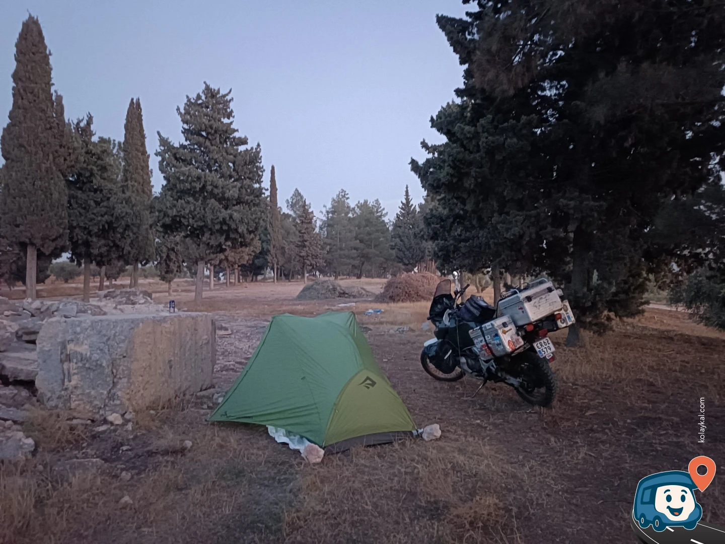 Yol Üzerindeki Ağaçlar - Nizip, Gaziantep