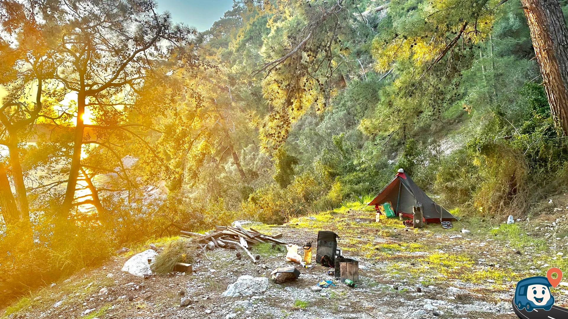 Çam Korusu - Menteşe, Muğla