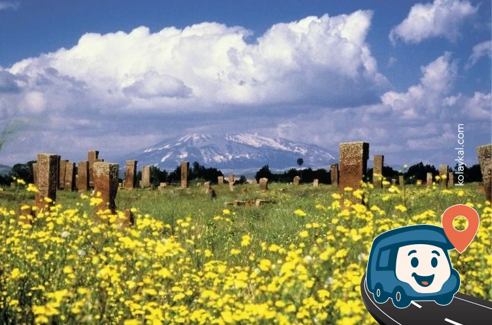 Ahlat Selçuklu Mezarlığı - Bitlis