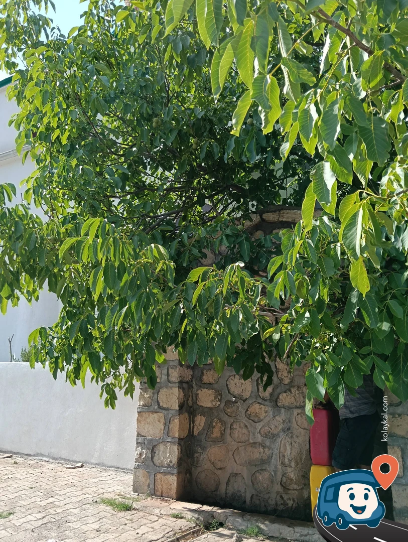 Cami Dışındaki Su Kaynağı - Kâhta, Adıyaman