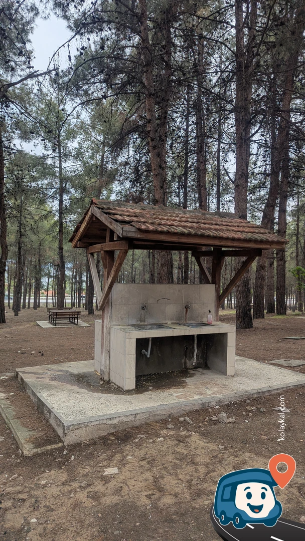 Burdur Gölü Ormanı - Burdur Merkez