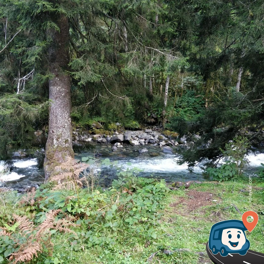 Nehir Kenarı Vahşi Kamp Noktası - Çamlıhemşin, Rize